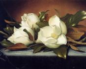 Giant Magnolias - 马丁·约翰逊·赫德